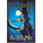 Erik ����� 61�91,5�� Iron Maiden Fear Of The Dark