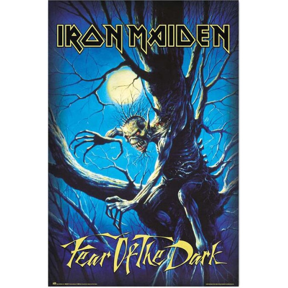 Erik ����� 61�91,5�� Iron Maiden Fear Of The Dark