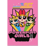 Erik ����� 61�91,5�� Powerpuff GIRLS