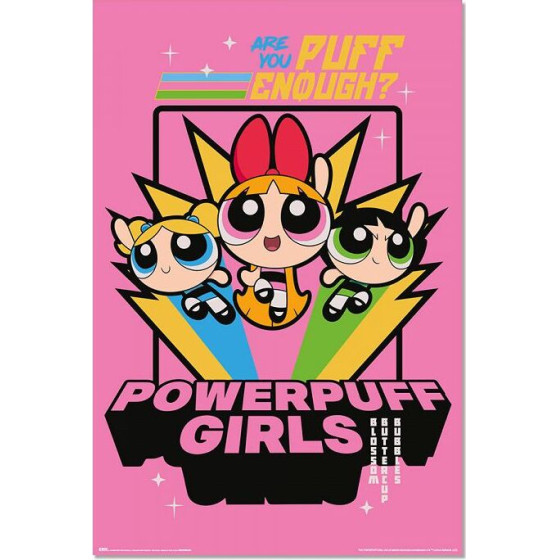 Erik ����� 61�91,5�� Powerpuff GIRLS