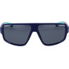 Polaroid Sunglasses Man (Lens/Bridge/Temple) 61/12/140 mm) - (PLD7054S61FLL)