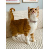ZOLUX Chatouille Beige - Cat collar