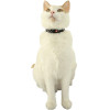 ZOLUX Chatouille Blue - Cat collar