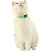 ZOLUX Chatouille Green - Cat collar