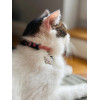 ZOLUX Chatouille Pink - Cat collar