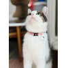 ZOLUX Chatouille Pink - Cat collar