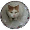 ZOLUX Chatouille Tunnel Cats And Mice Pattern - Cat Toy - 100cm
