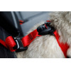 ZOLUX Travel Safe S Black - Dog harness