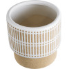 GloboStar Artificial Garden Amaretto ������������ �������� ����� ������� - Flower Pot ���� �� ����� �11 x �11cm - (20543)