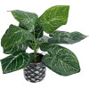 GloboStar Artificial Garden Anthurium ������� ������������ ���� �������� �40 x �33cm - (20892)