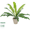 GloboStar Artificial Garden Asplenium Potted Plant ������������ ���� Aslenium �40 x �33cm - (20904)