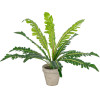 GloboStar Artificial Garden Asplenium Potted Plant ������������ ���� Aslenium �40 x �33cm - (20904)
