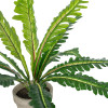 GloboStar Artificial Garden Asplenium Potted Plant ������������ ���� Aslenium �40 x �33cm - (20904)