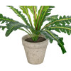 GloboStar Artificial Garden Asplenium Potted Plant ������������ ���� Aslenium �40 x �33cm - (20904)