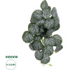 GloboStar Artificial Garden Begonia ������� �������� ������������ ���� ������� �30 x �15 x Y45cm - (20611)