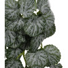 GloboStar Artificial Garden Begonia ������� �������� ������������ ���� ������� �30 x �15 x Y45cm - (20611)