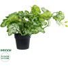 GloboStar Artificial Garden Begonia Plant ������������ ���� ������� �47 x �22cm - (20958)