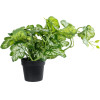 GloboStar Artificial Garden Begonia Plant ������������ ���� ������� �47 x �22cm - (20958)