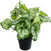 GloboStar Artificial Garden Begonia Plant ������������ ���� ������� �47 x �22cm - (20958)