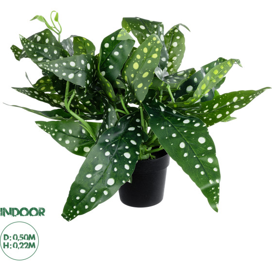 GloboStar Artificial Garden Begonia Polka Dot Plant ������������ ���� ������� �50 x �22cm - (20959)