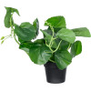 GloboStar Artificial Garden Bell Plant ������������ ���� ������� �47 x �22cm - (20957)