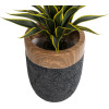 GloboStar Artificial Garden Bellagio ���������� ������������ ����������� ����� ������� - Flower Pot ����� �� ���� �39 x �52cm - (20744)