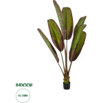 GloboStar Artificial Garden Bloody Banana Tree - ������� ������������ ���� ����������� �������� - ������������� �190cm - (20118)