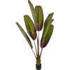 GloboStar Artificial Garden Bloody Banana Tree - ������� ������������ ���� ����������� �������� - ������������� �190cm - (20118)