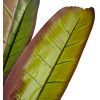 GloboStar Artificial Garden Bloody Banana Tree - ������� ������������ ���� ����������� �������� - ������������� �190cm - (20118)