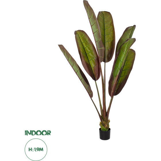 GloboStar Artificial Garden Bloody Banana Tree - ������� ������������ ���� ����������� �������� - ������������� �190cm - (20118)