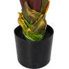 GloboStar Artificial Garden Bloody Banana Tree - ������� ������������ ���� ����������� �������� - ������������� �190cm - (20118)