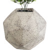 GloboStar Artificial Garden Borough ���������� ������������ ����������� ����� ������� - Flower Pot ����� �� ���� �30 x �30 x �30cm - (20782)