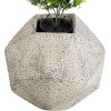GloboStar Artificial Garden Borough ���������� ������������ ����������� ����� ������� - Flower Pot ����� �� ���� �30 x �30 x �30cm - (20782)