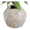 GloboStar Artificial Garden Borough ���������� ������������ ����������� ����� ������� - Flower Pot ����� �� ���� �38 x �38 x �38cm - (20781)