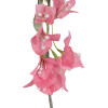 GloboStar Artificial Garden Bouganvillea Branch ������� ������������ ����� ������������ Y79cm - (20653)