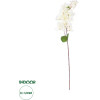 GloboStar Artificial Garden Bougauvillea Branch ������� ������������ ����� ������������� ����� Y80cm - (20659)