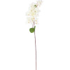 GloboStar Artificial Garden Bougauvillea Branch ������� ������������ ����� ������������� ����� Y80cm - (20659)