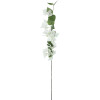 GloboStar Artificial Garden Bougauvillea Branch ������� ������������ ����� ������������� ����� Y80cm - (20657)