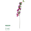 GloboStar Artificial Garden Bougauvillea Branch ������� ������������ ����� ������������� ���� Y80cm - (20656)