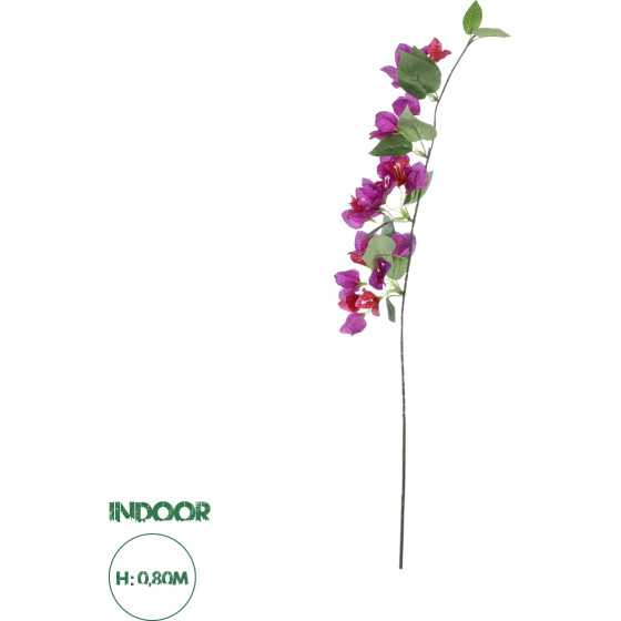 GloboStar Artificial Garden Bougauvillea Branch ������� ������������ ����� ������������� ���� Y80cm - (20656)