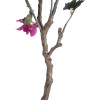 GloboStar Artificial Garden Bougauvillea ������� ������������ ���� �� ���� ������������� ���� �150cm - (20675)