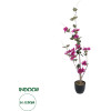 GloboStar Artificial Garden Bougauvillea ������� ������������ ���� �� ���� ������������� ���� �90cm - (20673)
