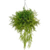 GloboStar Artificial Garden Bouquet Various Hanging Plant ������� �������� ������������ ���� ��� �75 x �75 x Y100cm - (20625)
