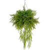 GloboStar Artificial Garden Bouquet Various Hanging Plant ������� �������� ������������ ���� ��� �75 x �75 x Y100cm - (20625)