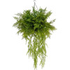GloboStar Artificial Garden Bouquet Various Hanging Plant ������� �������� ������������ ���� ��� �75 x �75 x Y100cm - (20625)