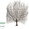 GloboStar Artificial Garden Brown Coral Branch ������� ������������ ����� ���� Ko���� Y49cm - (21467)