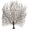 GloboStar Artificial Garden Brown Coral Branch ������� ������������ ����� ���� Ko���� Y49cm - (21467)