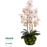 GloboStar Artificial Garden Butterfly Orchid Bonsai ������� ������������ ���� ������� �34 x �27 x �65cm - (21400)