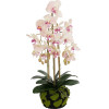 GloboStar Artificial Garden Butterfly Orchid Bonsai ������� ������������ ���� ������� �34 x �27 x �65cm - (21400)