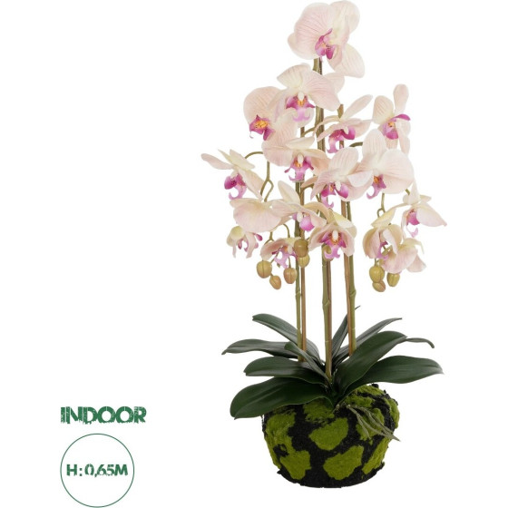 GloboStar Artificial Garden Butterfly Orchid Bonsai ������� ������������ ���� ������� �34 x �27 x �65cm - (21400)